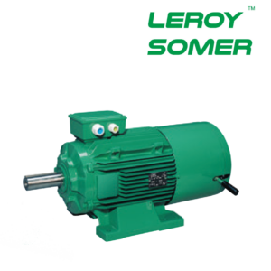 LSES 132M Nidec Leroy-Somer Vietnam